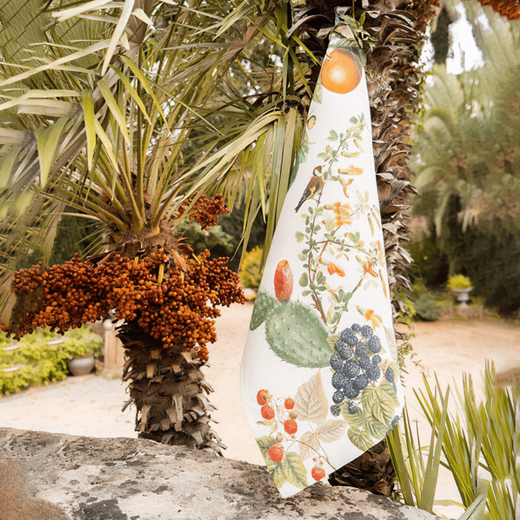 Campagna Siciliana - Maravigghia Sicily