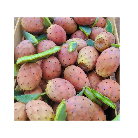 Confettura Extra di Fichi d'India Siciliani - U' Barunieddu - Maravigghia for Sicily