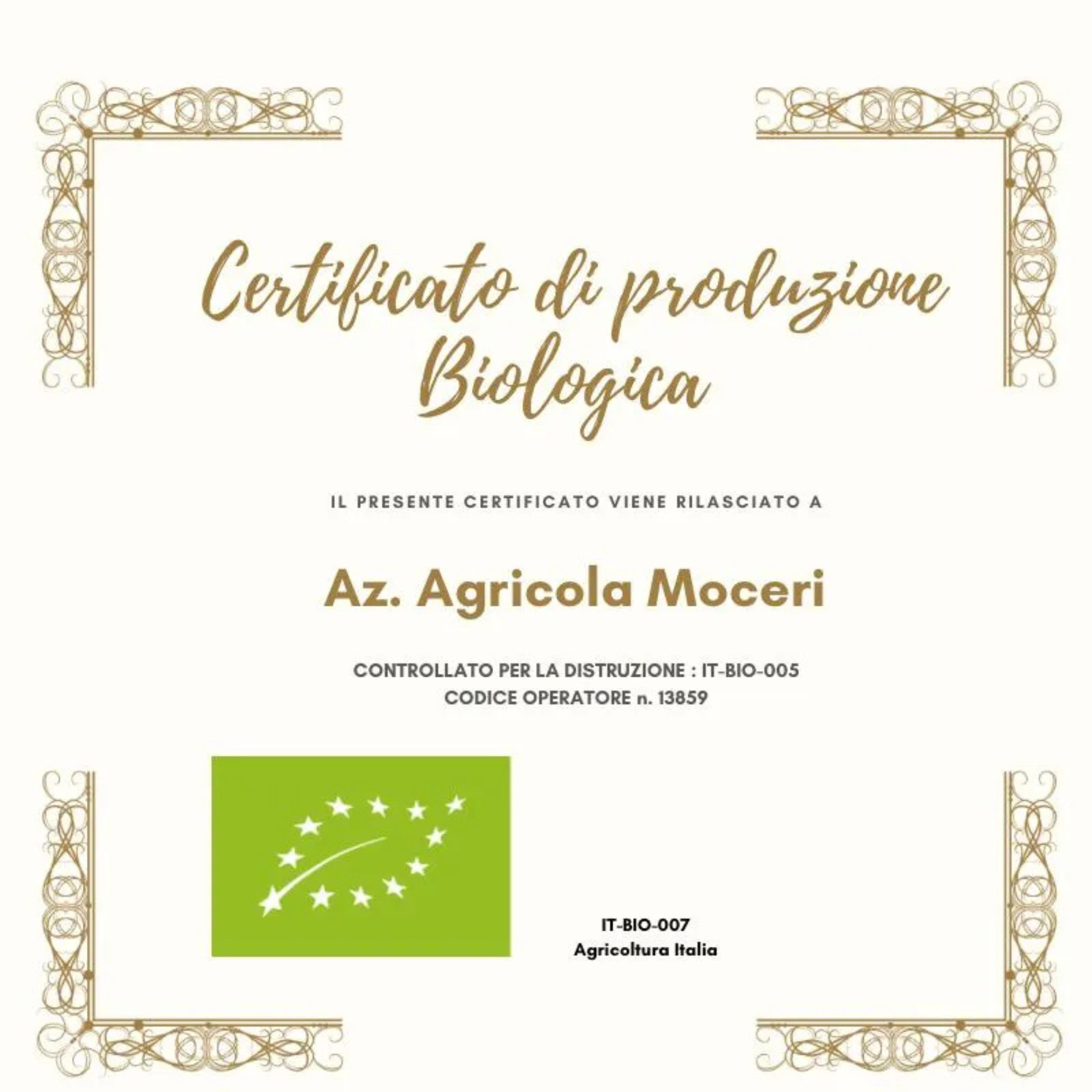 Organic DOP "Nocellara del Belice" EVO oil
