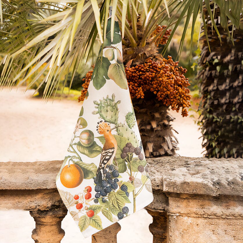 Campagna Siciliana - Maravigghia Sicily