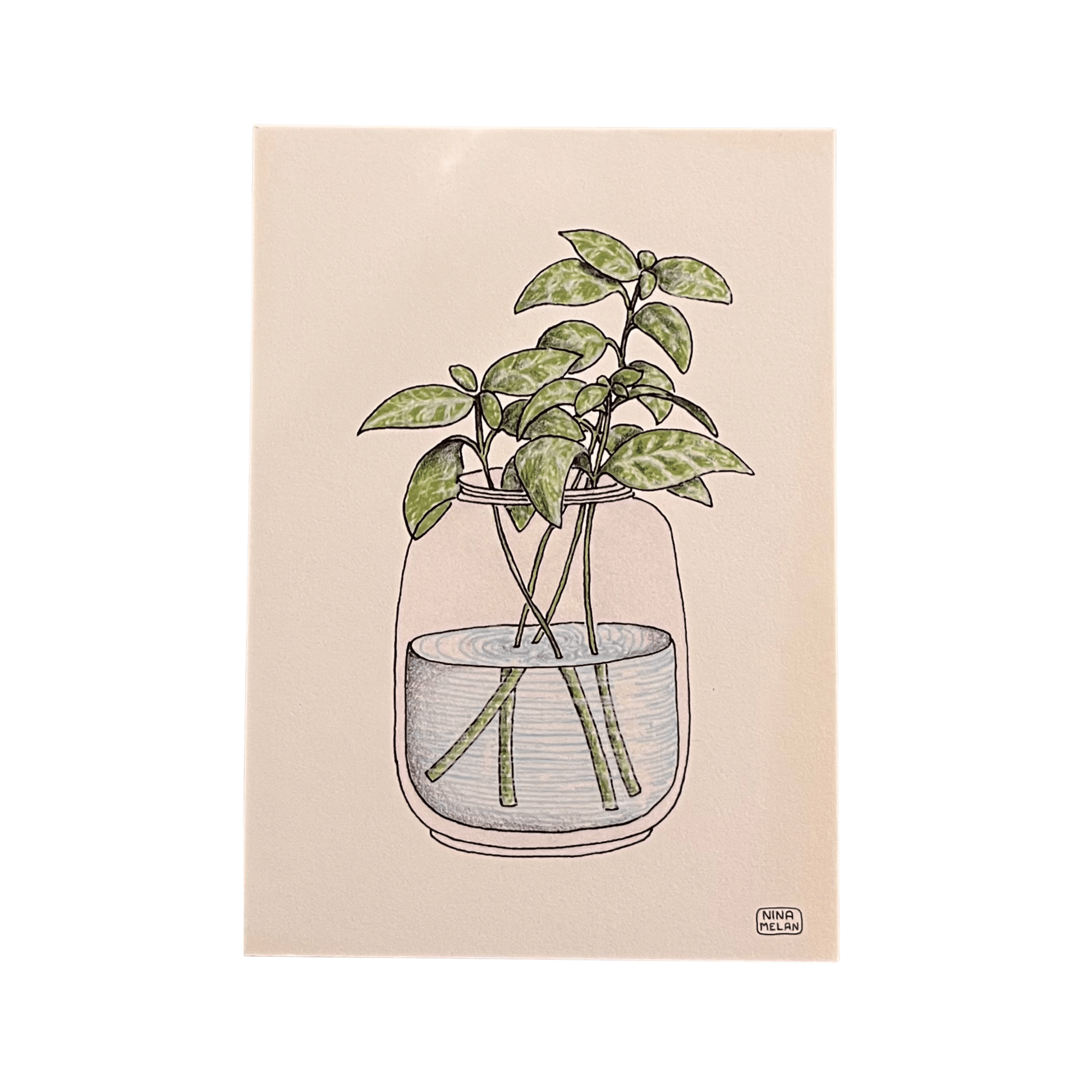 Cartoline iconiche di Nina Melan - illustrazioni - Maravigghia Sicily