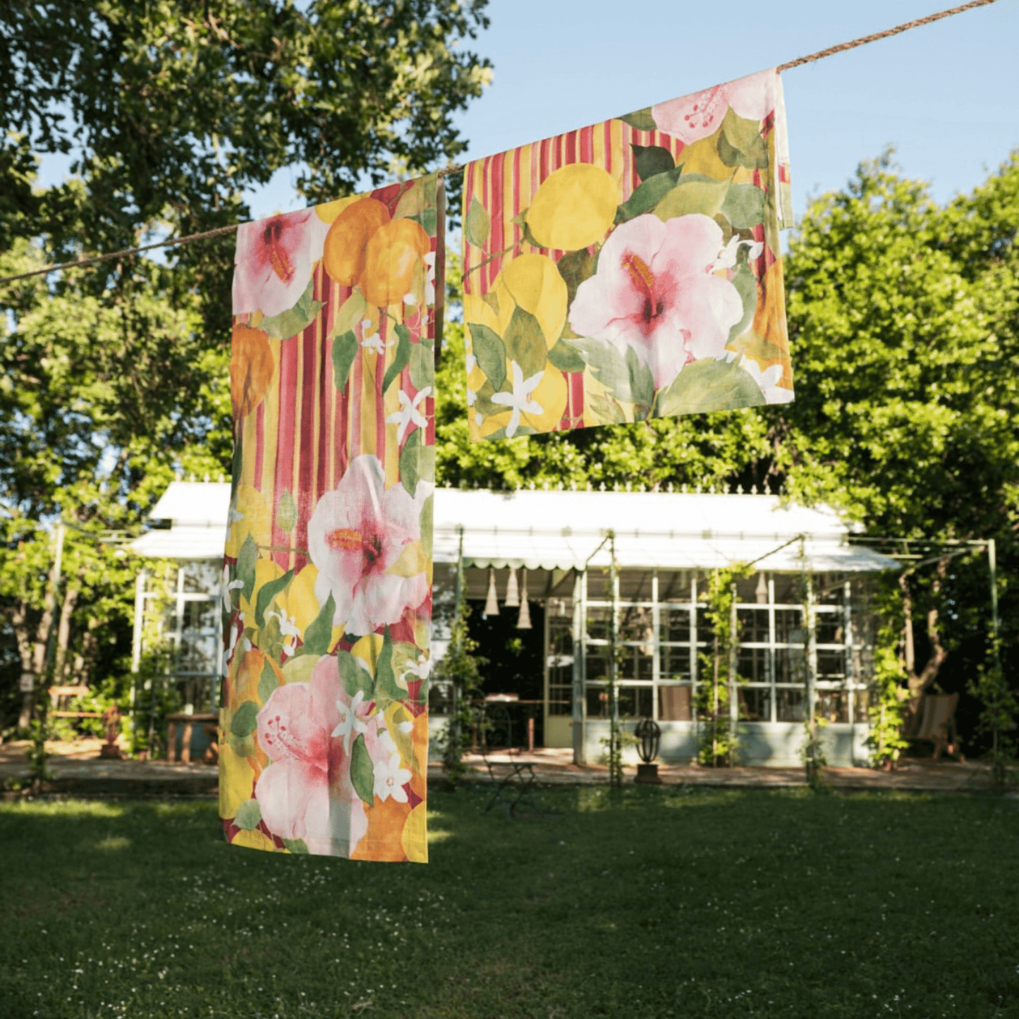 Ibiscus - Maravigghia Sicily