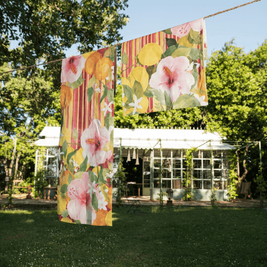 Ibiscus - Maravigghia Sicily