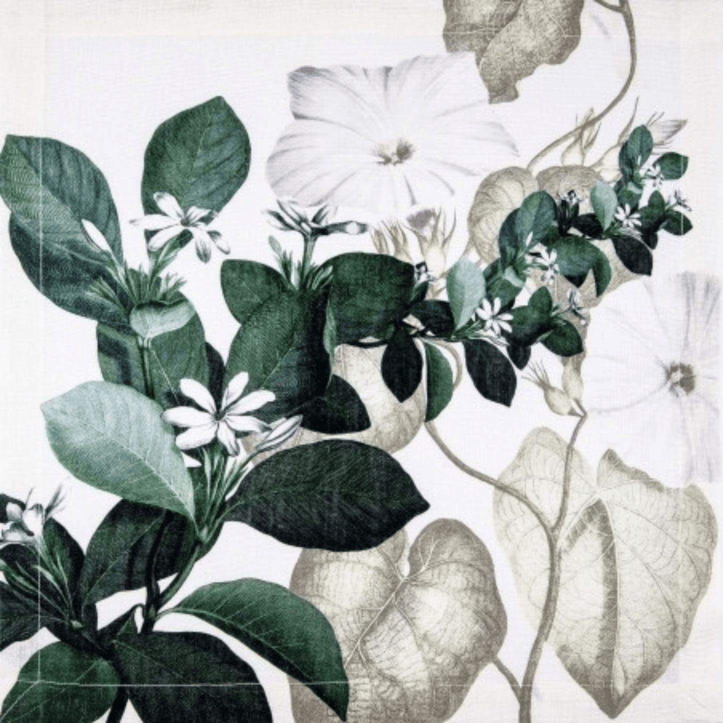 Knighthia - Maravigghia Sicily