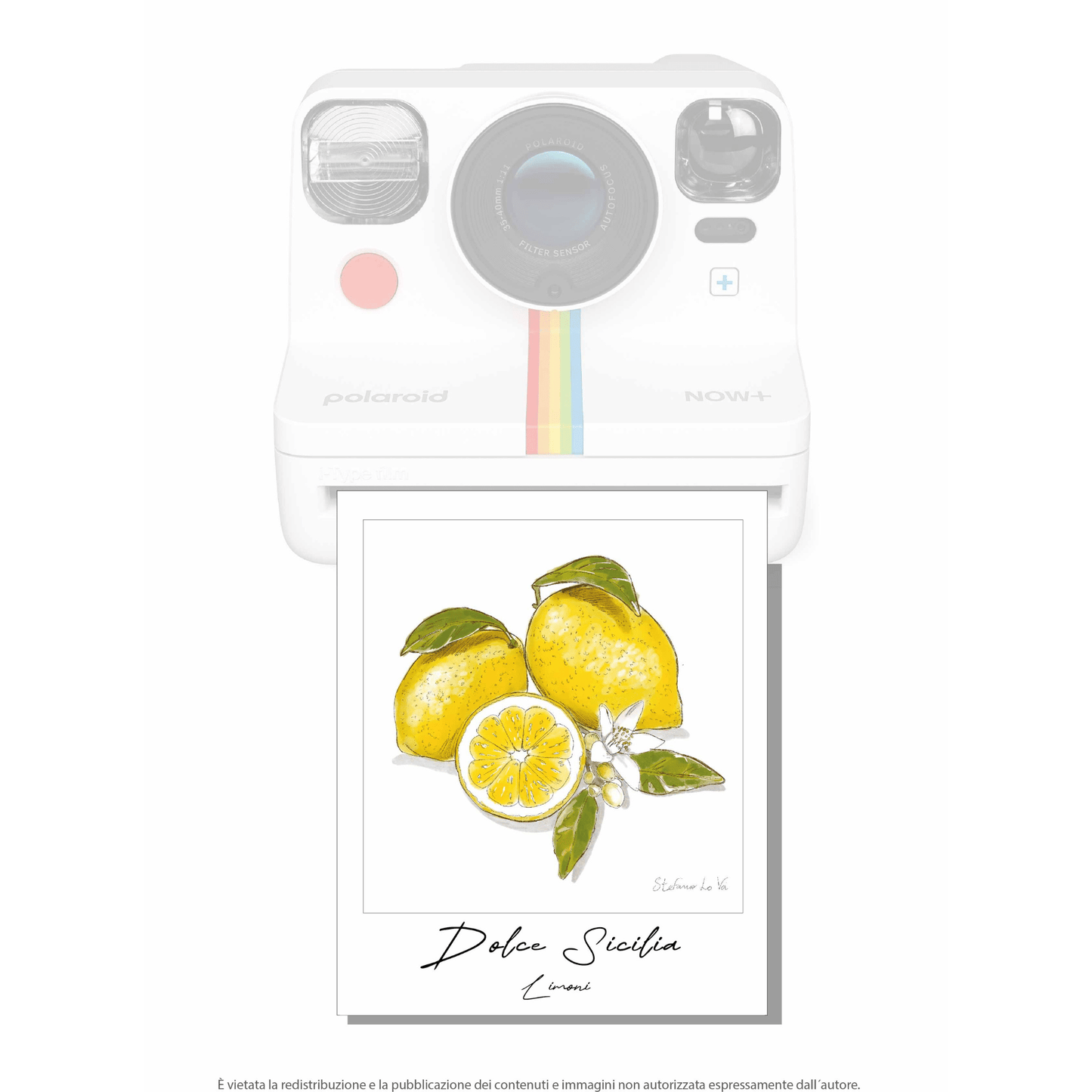 Pale - roid: le illustrazioni di Stefano Lo Voi - Maravigghia Sicily