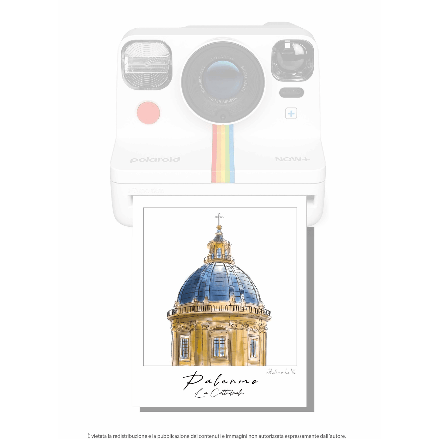 Pale - roid: le illustrazioni di Stefano Lo Voi - Maravigghia Sicily