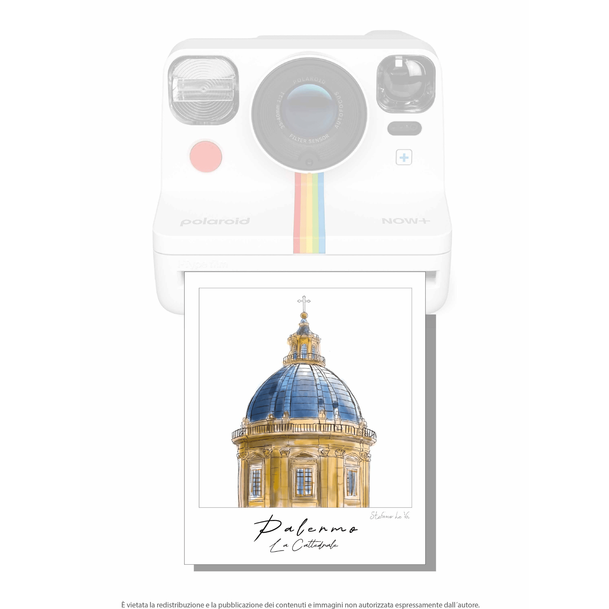 Pale - roid: le illustrazioni di Stefano Lo Voi - Maravigghia Sicily
