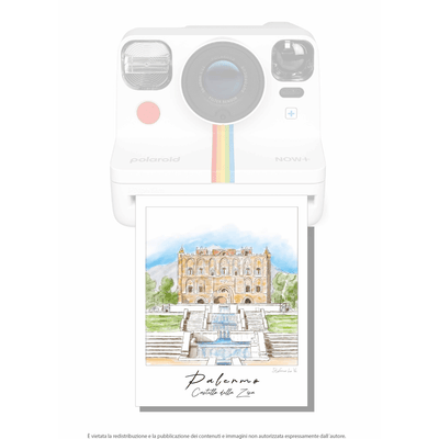 Pale - roid: le illustrazioni di Stefano Lo Voi - Maravigghia Sicily