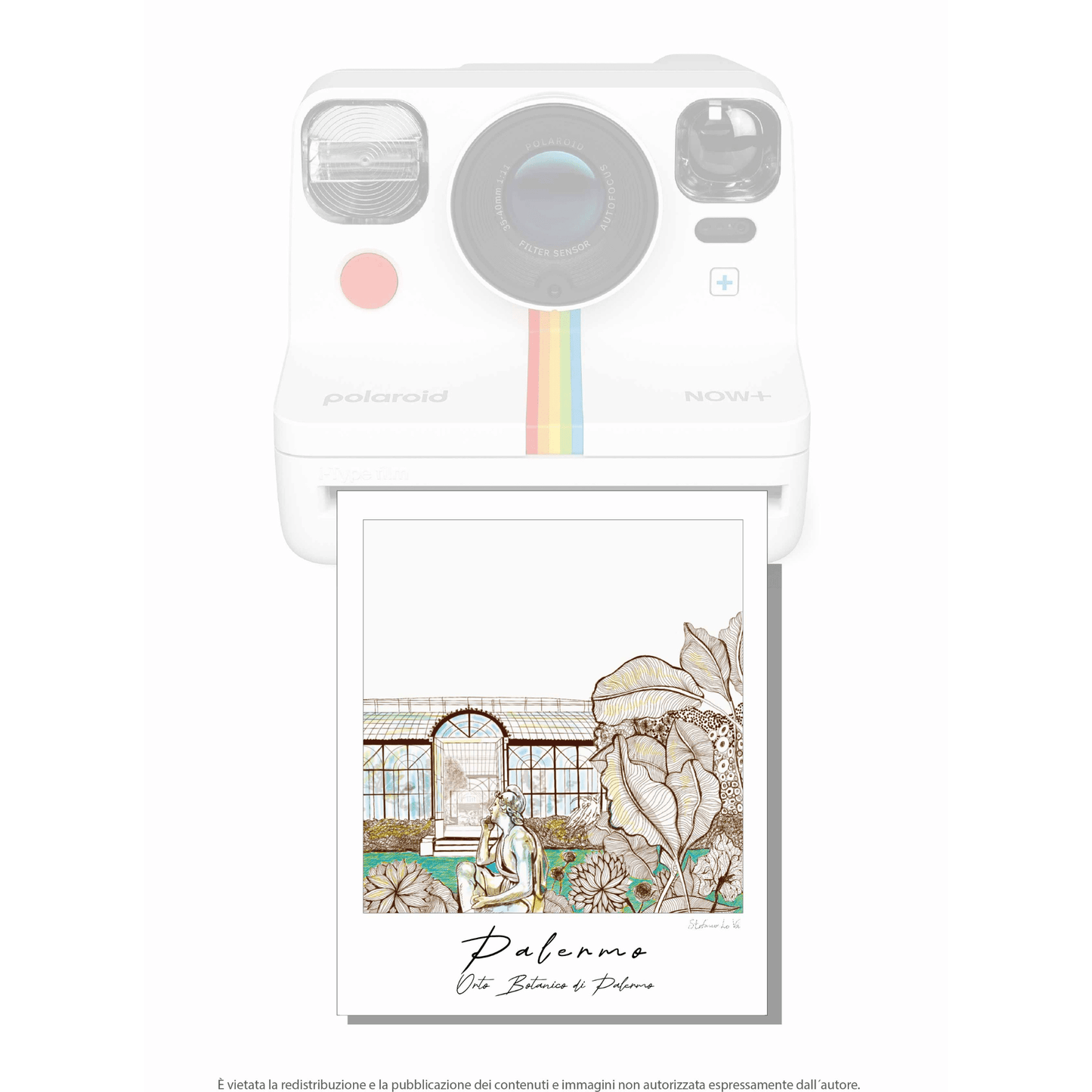 Pale - roid: le illustrazioni di Stefano Lo Voi - Maravigghia Sicily