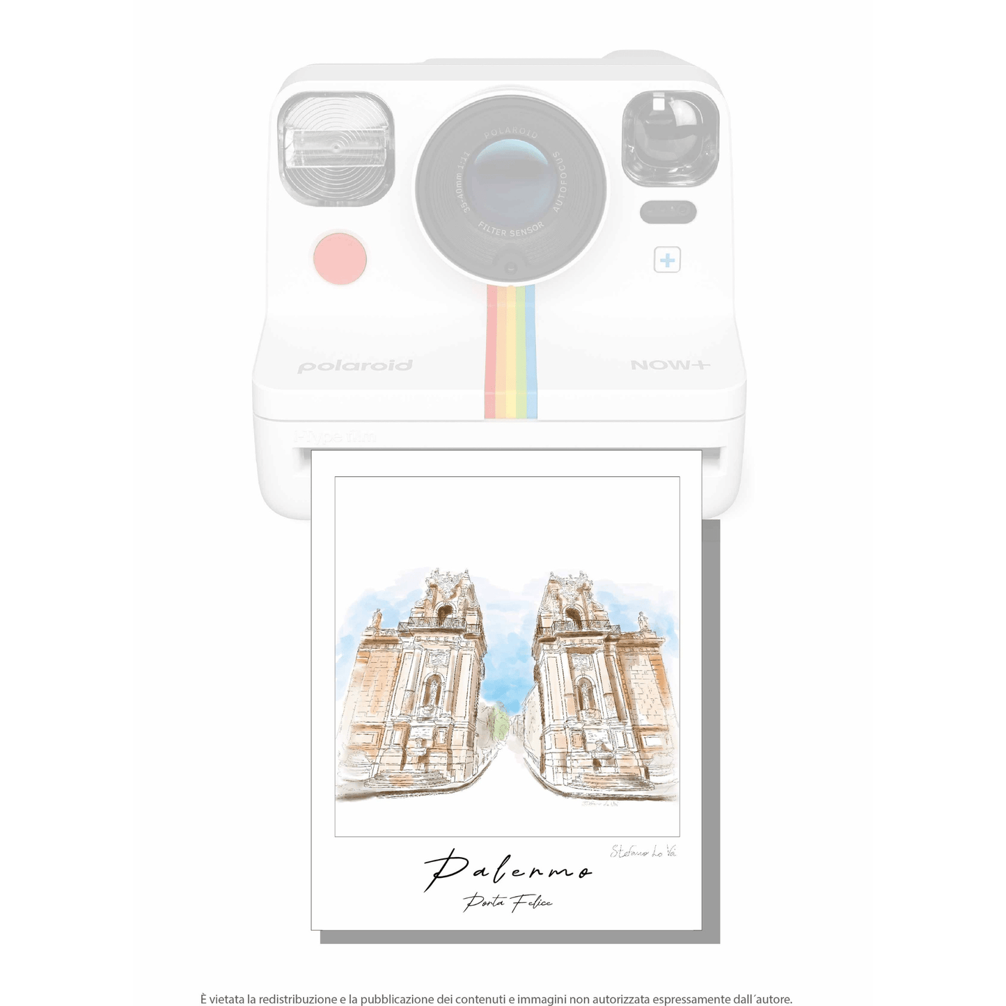 Pale - roid: le illustrazioni di Stefano Lo Voi - Maravigghia Sicily