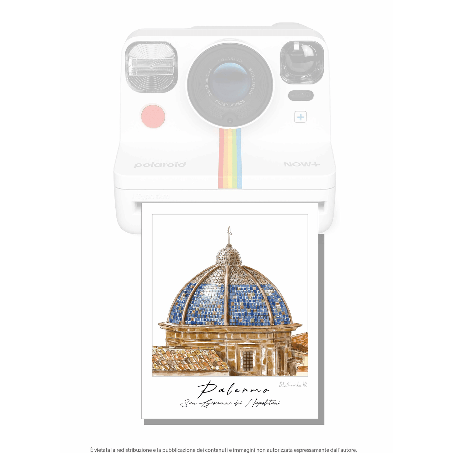 Pale - roid: le illustrazioni di Stefano Lo Voi - Maravigghia Sicily