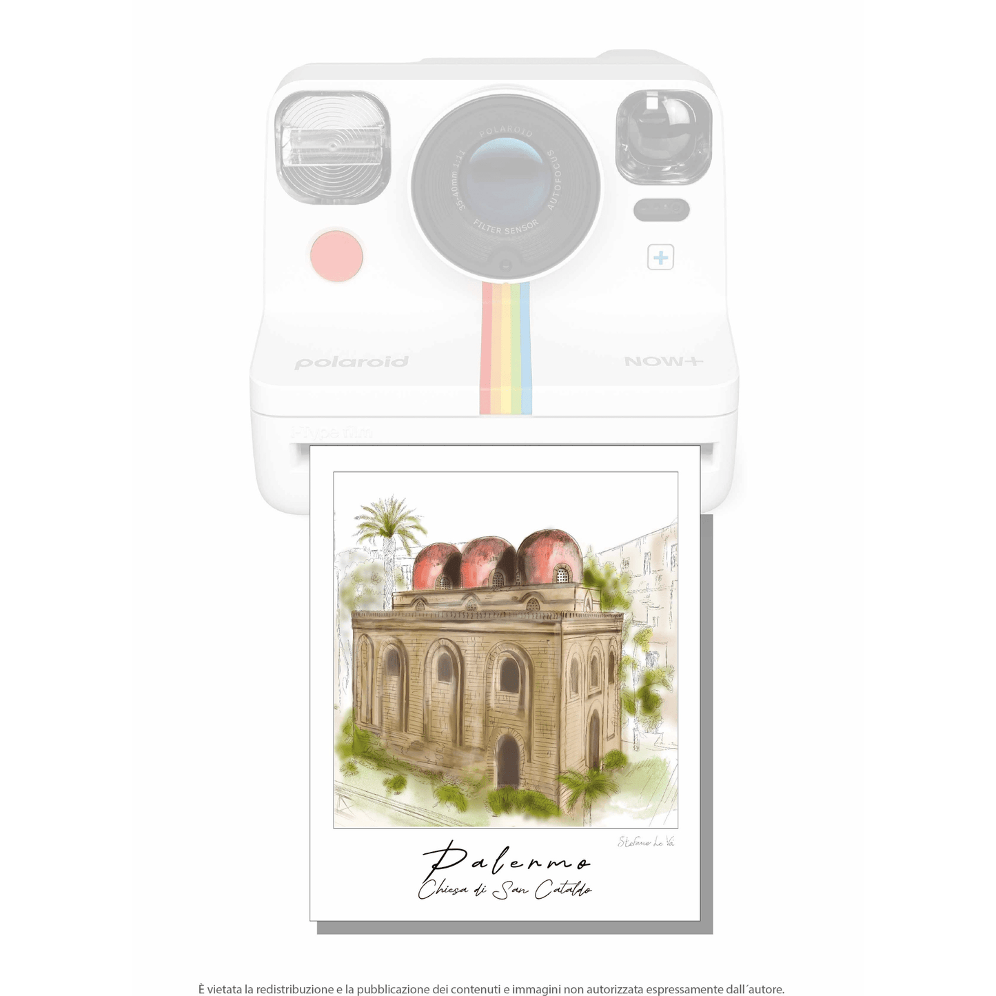 Pale - roid: le illustrazioni di Stefano Lo Voi - Maravigghia Sicily