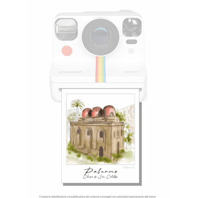 Pale - roid: le illustrazioni di Stefano Lo Voi - Maravigghia Sicily