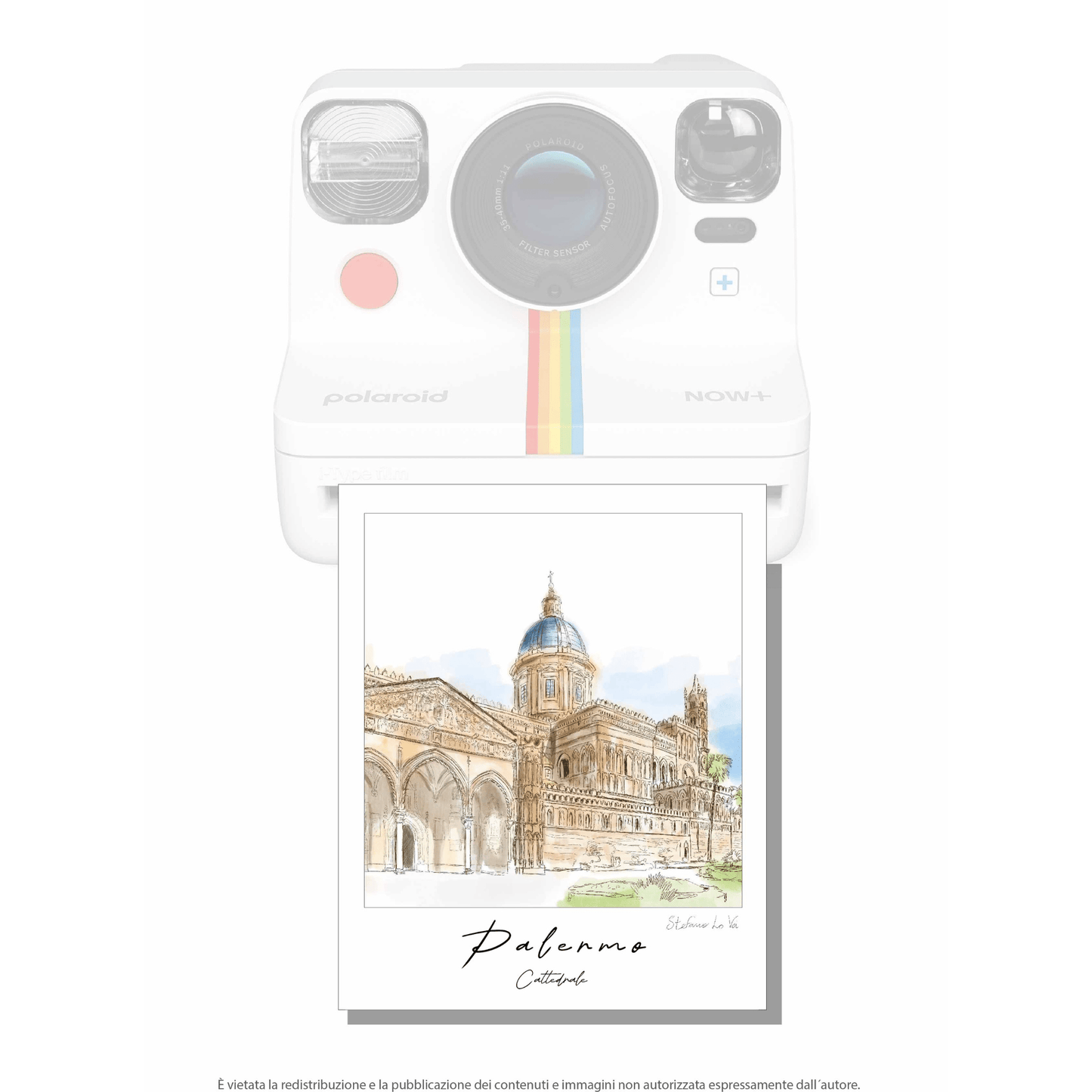 Pale - roid: le illustrazioni di Stefano Lo Voi - Maravigghia Sicily