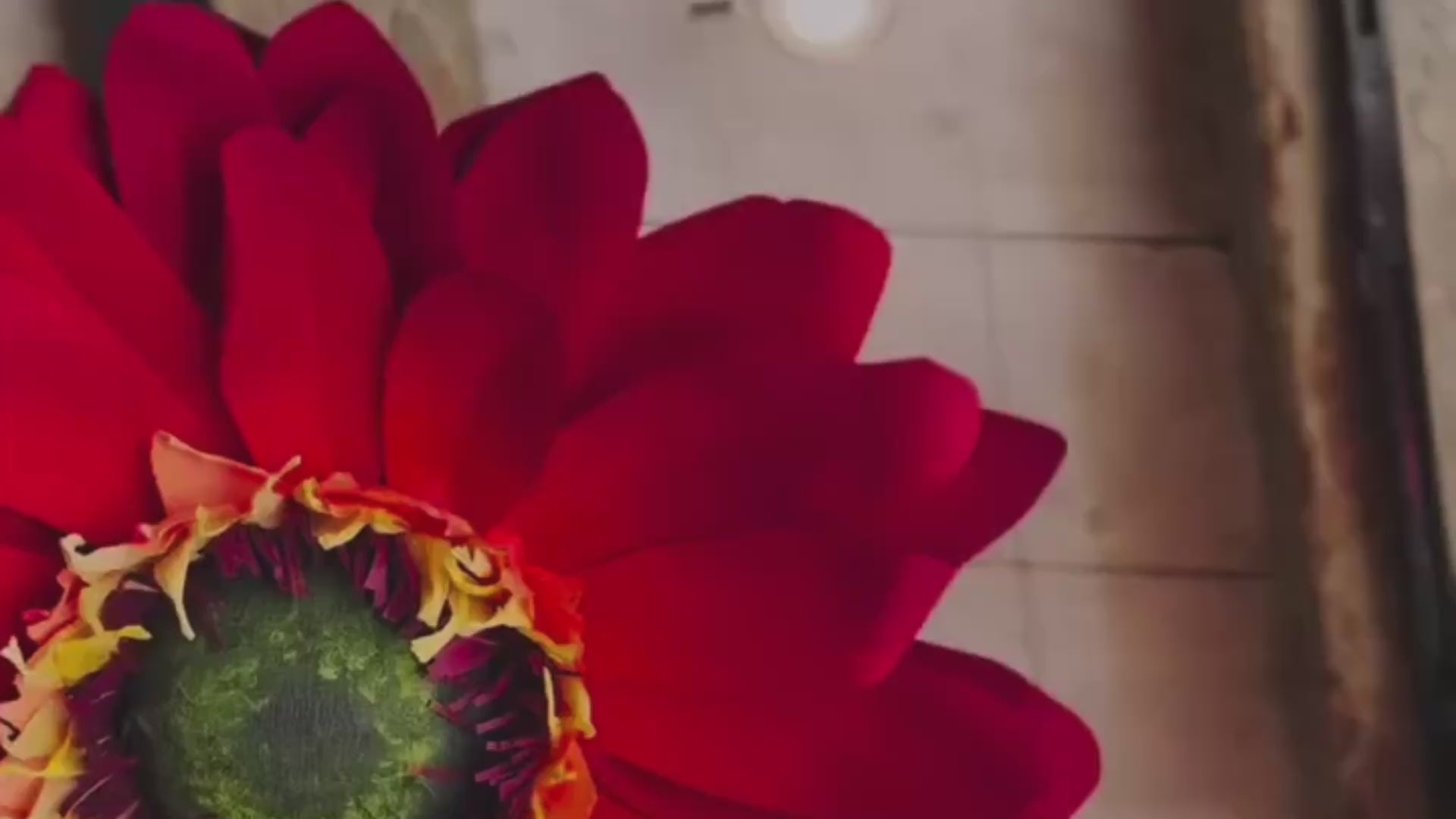 Carica il video: 