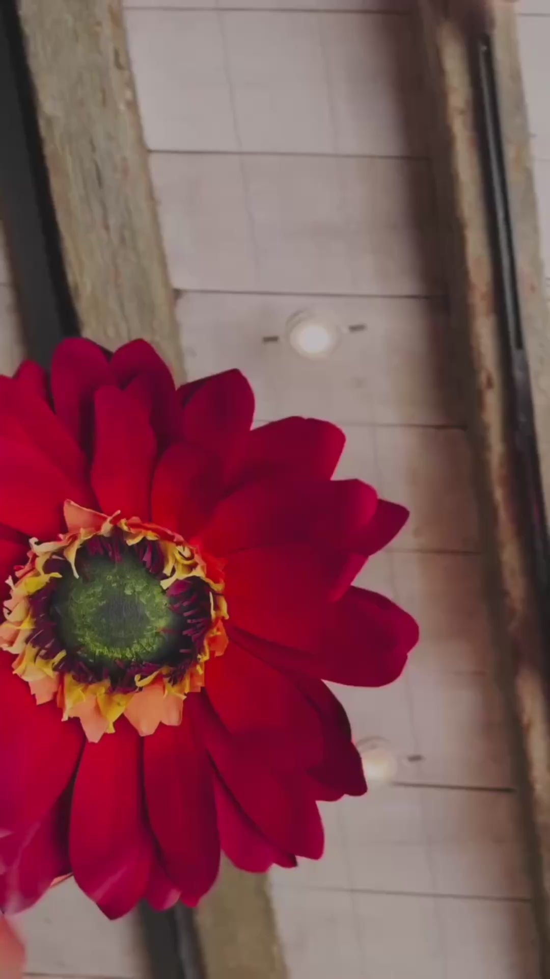 Carica il video: 