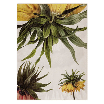 Strofinaccio Fritillaria - Maravigghia Sicily